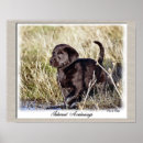 Search for labrador retriever art Pet