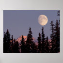 Search for anchorage posters Forest