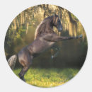 Search for rearing horse stickers Bob langrish