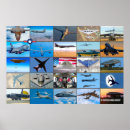 Search for jet aircraft posters Navy
