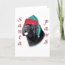 Search for newfoundland christmas cards Dog
