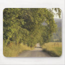 Search for dirt road mousepads Usa