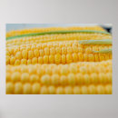 Search for corn posters Yellow