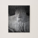 Search for seattle puzzles Pacific northwest