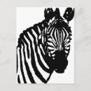 Search for zebra postcards Retro