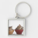 Search for sleeping cat key rings Tabby