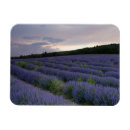 Search for cropland magnets Agricultural field
