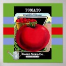 Search for vintage tomato posters Garden