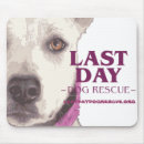 Search for adopt a electronics Dog