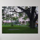 Search for the royal hawaiian hotel Oahu