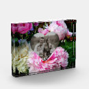 Search for aunt photo display Elegant