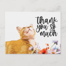 Search for ginger cards Orange