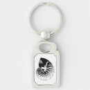 Search for nautilus shell key rings White