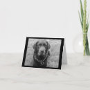 Search for chocolate labrador cards Brown