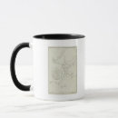 Search for san francisco bay area mugs David rumsey