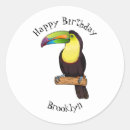 Search for billing stickers Keel billed toucan