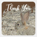 Search for animal pictures stickers Thank you