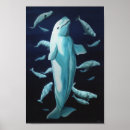 Search for beluga art Whale