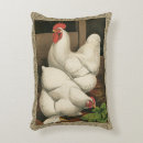 Search for rooster cushions Hen