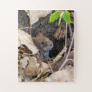 Search for mouse puzzles Cute