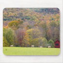 Search for bale mousepads Barn