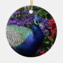 Search for peacock feather christmas tree decorations Plumage