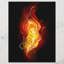 Search for fire flyers Black
