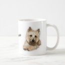 Search for cairns mugs Pets