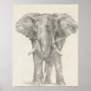 Search for zoo animal drawing posters Animals