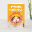 Search for cute encouragement cards Humour