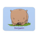 Search for marsupial magnets Animal