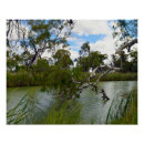 Search for rivers posters Trees