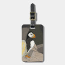 Search for puffin rock Rocks