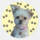 Search for doggy bag stickers Puppy
