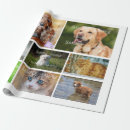Search for pet photo wrapping paper Animals