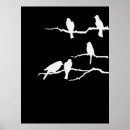 Search for bird silhouettes posters Animals