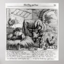Search for aesop art Nature