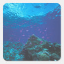 Search for great barrier stickers Reef