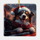 Search for roller coaster christmas tree decorations Carnival