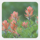 Search for paintbrush stickers Red