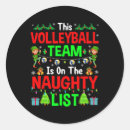Search for volleyball dad stickers Xmas