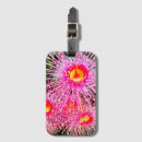 Search for nut accessories Pink