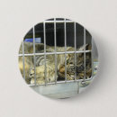 Search for adopt a cat badges Feline