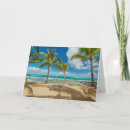 Search for coconut tree cards Beach