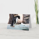 Search for snowball christmas cards Penguin