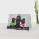Search for newfie christmas cards Newfy