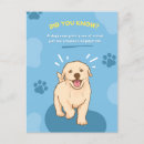 Search for teachers pet postcards Dog
