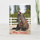 Search for draught cards Percheron