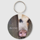 Search for funny pig key rings Humour