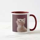 Search for whisker mugs Feline